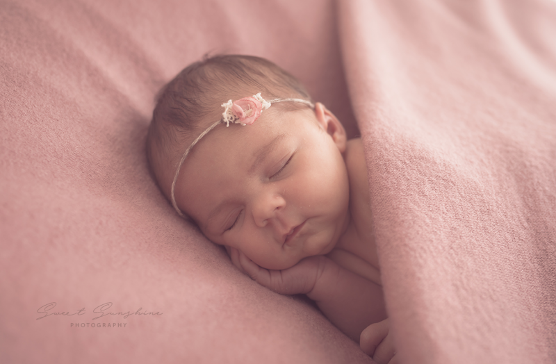plan_nb_girl_rosa